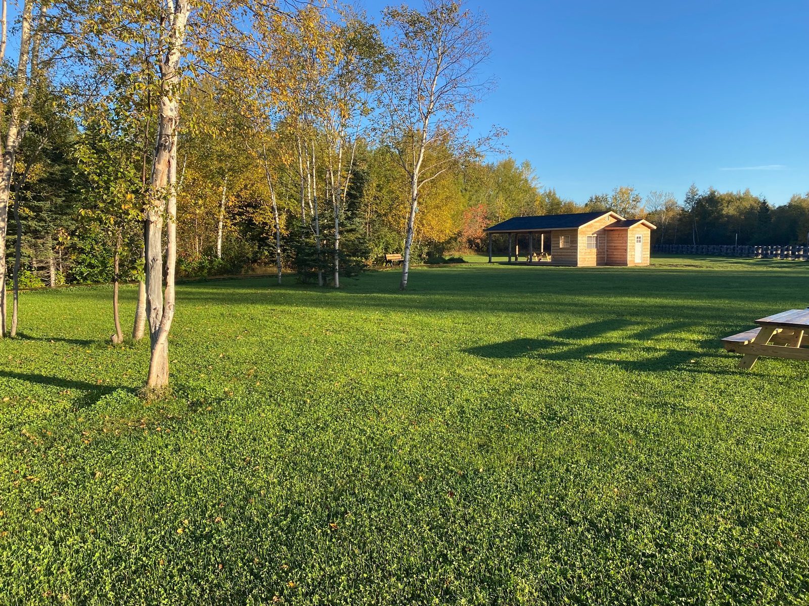 Green park and recreation area