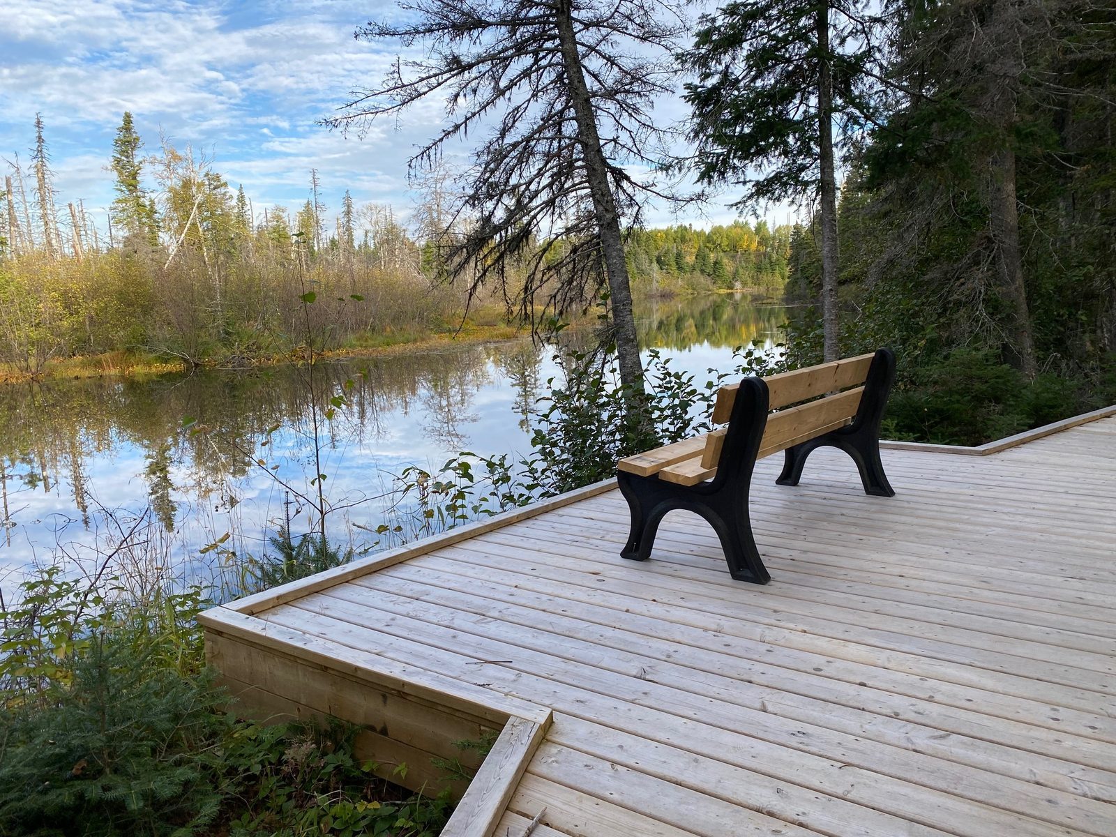 Park bench in fall setting for community gathering