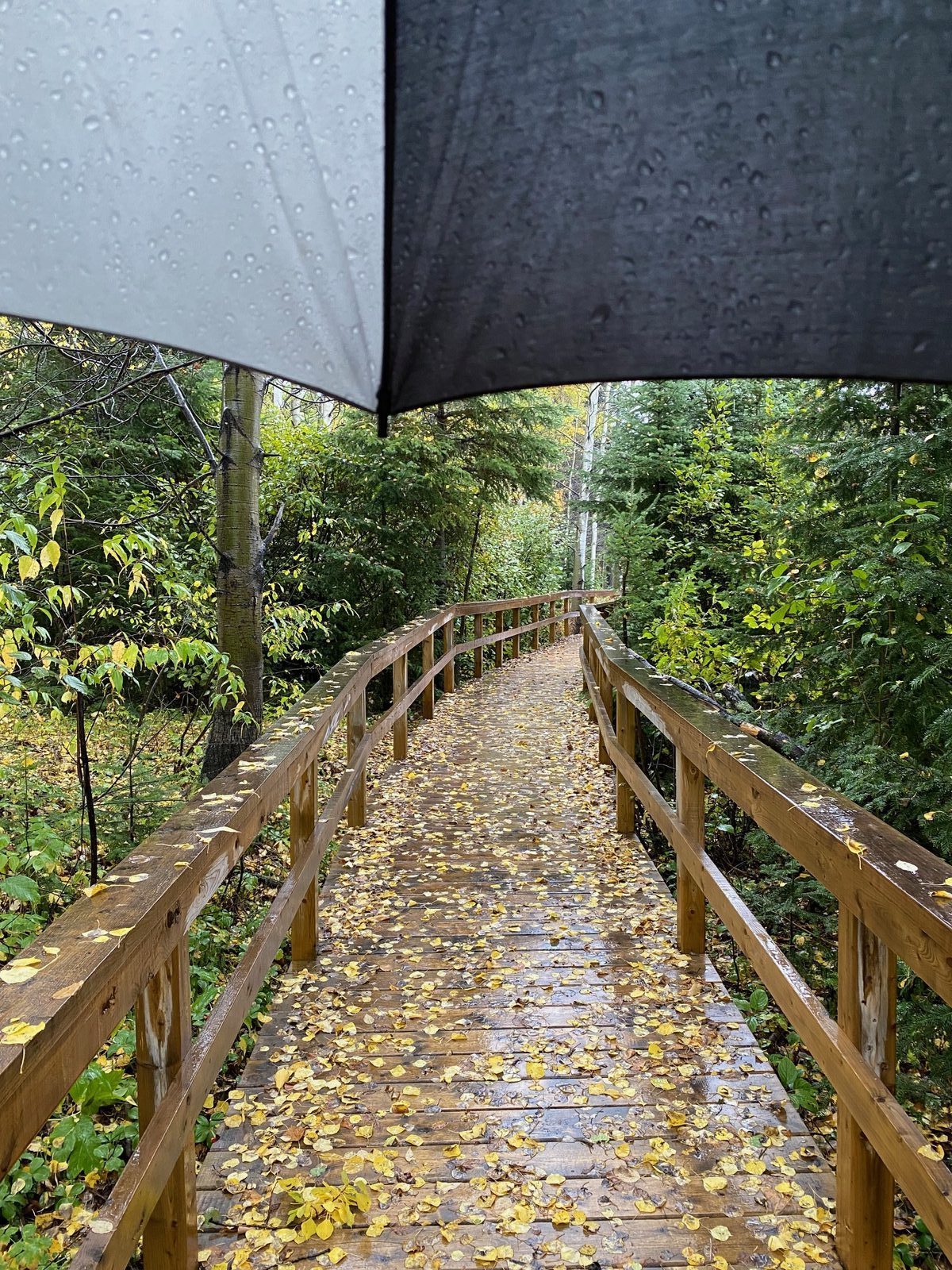 Waterfront dock for outdoor recreation